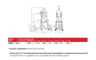 obrazek FARAONE Pomost / drabina magazynowa z elektrycznym podestem ładunkowym, 10 stopni, wys.rob. 4,23m PIK25