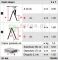 KRAUSE MONTO Dopplo drabina dwustronna 2x7 wys.rob. 3,05m 120434