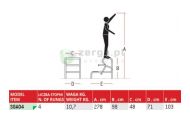 obrazek FARAONE SGA Aluminiowe schody 4 stopnie wys.rob. 2,98m SGA04